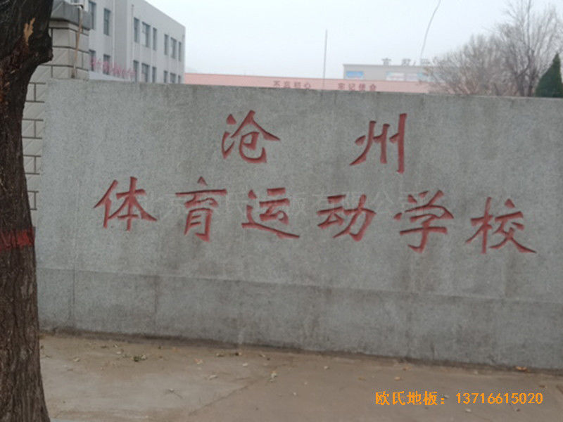 河北滄州體育學(xué)?；@球館體育地板施工案例0