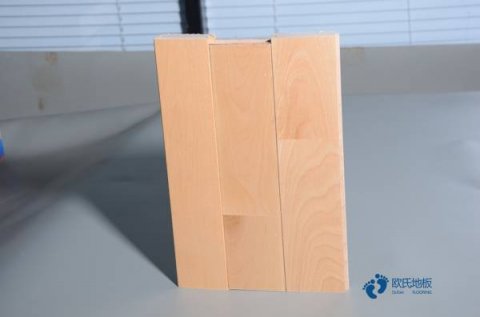 國內(nèi)體育運(yùn)動木地板品牌