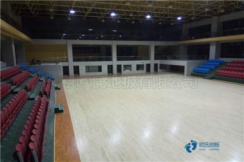 運(yùn)動(dòng)木地板油漆品牌