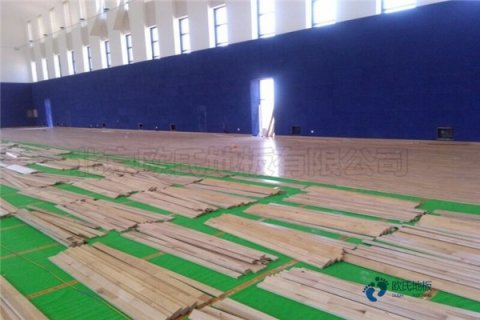 籃球館專用木地板施工